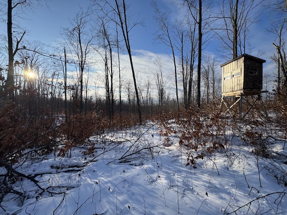 80-acres North Galbraith Road Mio, MI 48647 - Photo 7 of 78 5