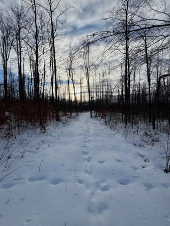 $269,000 | 80-acres North Galbraith Road, Mio, MI 48647