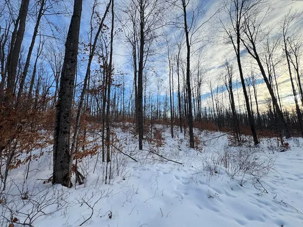 $269,000 | 80-acres North Galbraith Road, Mio, MI 48647