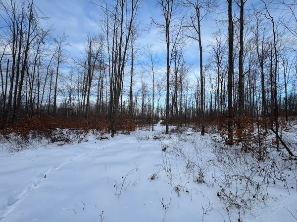 $269,000 | 80-acres North Galbraith Road, Mio, MI 48647