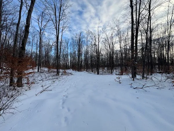 $269,000 | 80-acres North Galbraith Road, Mio, MI 48647