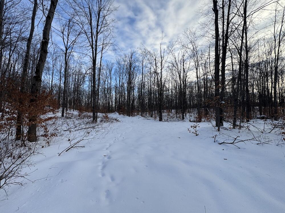 80-acres North Galbraith Road Mio, MI 48647 - Photo 74 of 78 IMG_9359 2