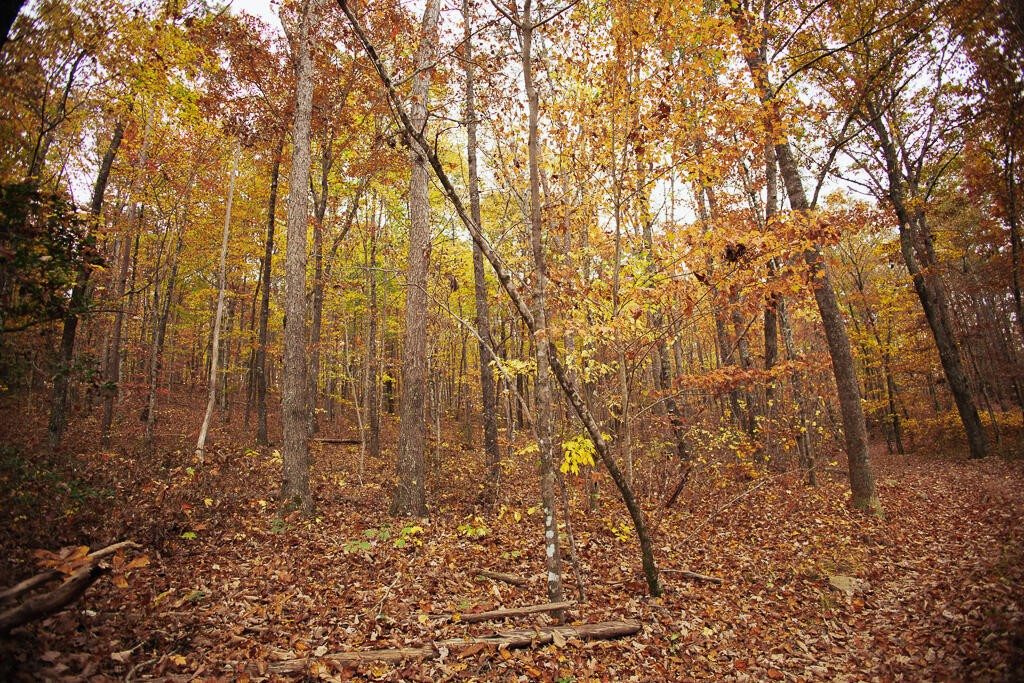 0 Reed Lane Soddy-Daisy, TN 37379 - Photo 31 of 47 Gallery Image 31