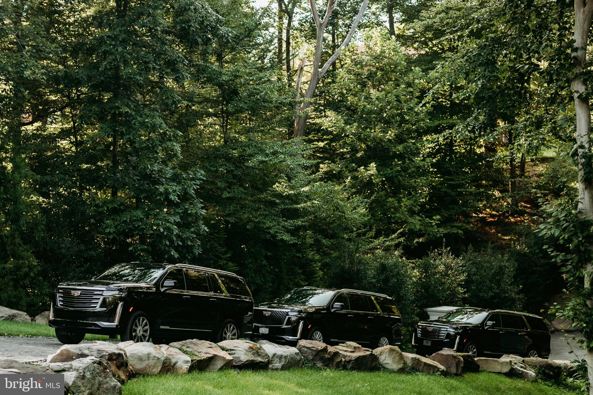 6501 Bright Mountain Road McLean, VA 22101 - Photo 3 of 50 Driveway