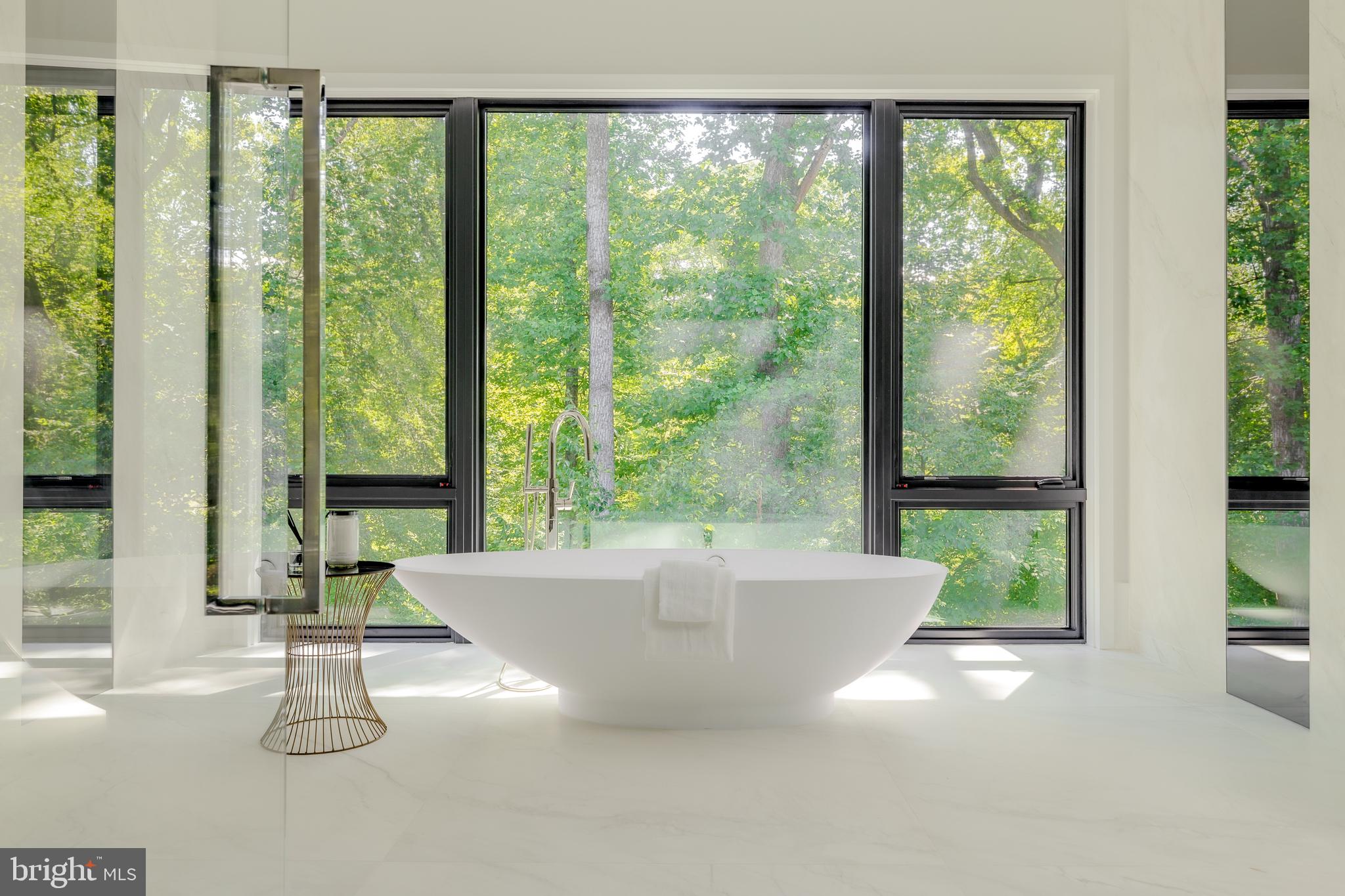 6501 Bright Mountain Road McLean, VA 22101 - Photo 35 of 50 Primary bath tub