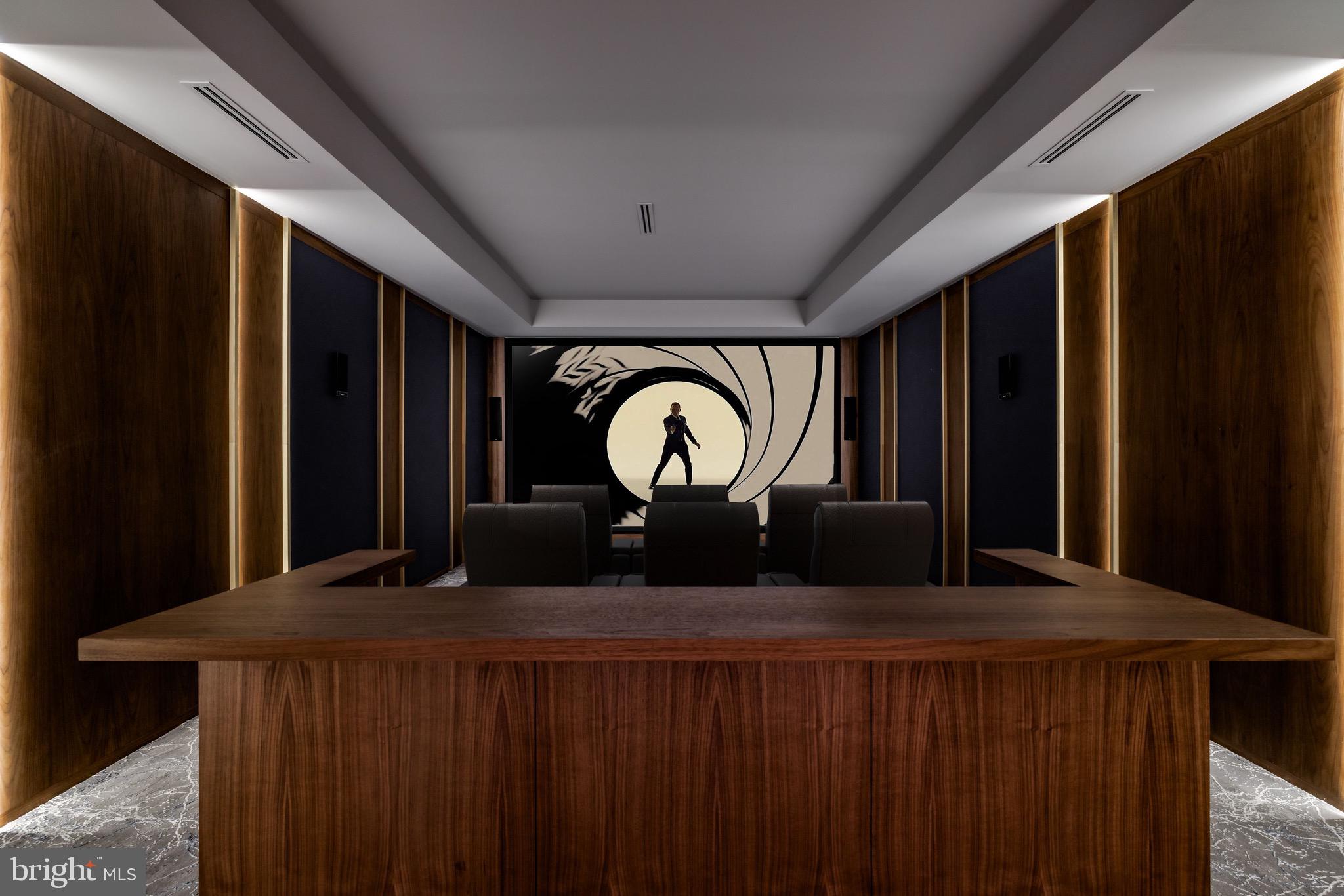 6501 Bright Mountain Road McLean, VA 22101 - Photo 42 of 50 Screening room