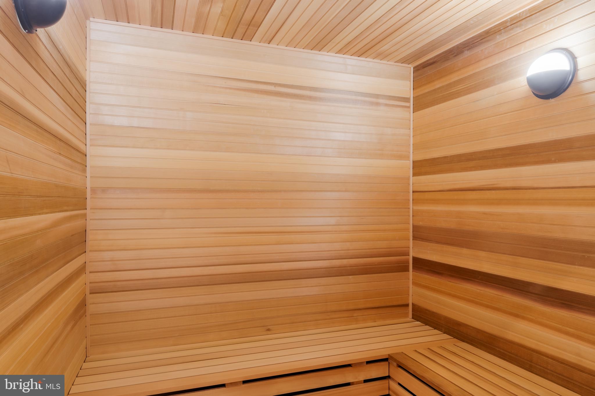 6501 Bright Mountain Road McLean, VA 22101 - Photo 44 of 50 Sauna