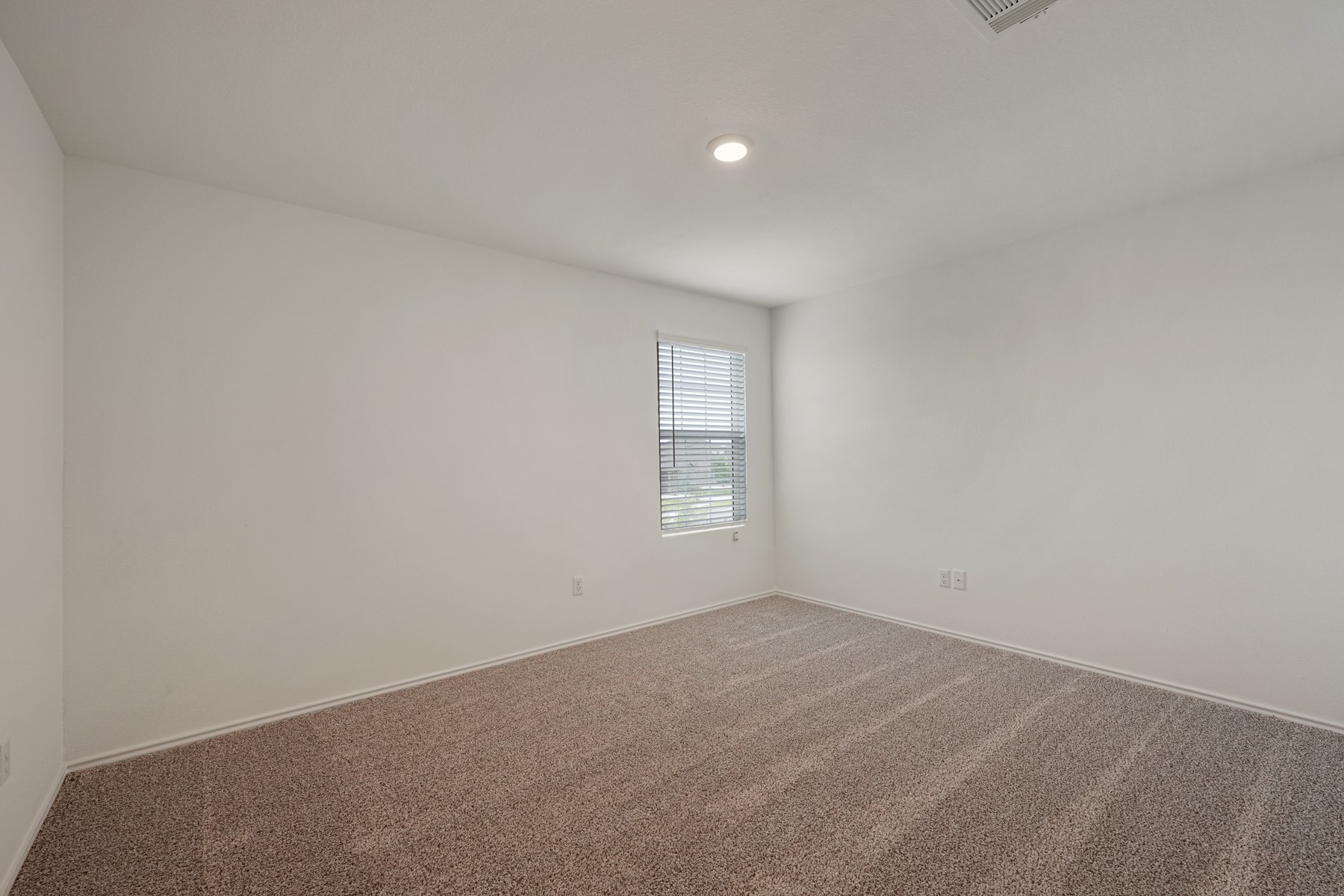 932 Mallow Road Leander, TX 78641 - Photo 29 of 34 A well-proportioned bedroom with new carpet and ample natural illumination from a large window.