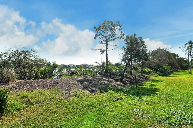 a view of a pathway both side of grassy field with shrub