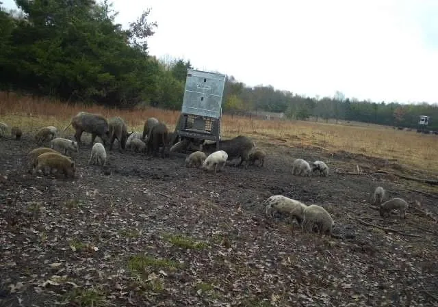 a view of a lake and mountain in the back