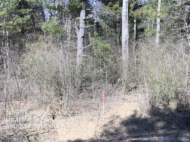 0 East Timreck Road, Unit PARCEL B Tawas City, MI 48763 - Photo 5 of 5