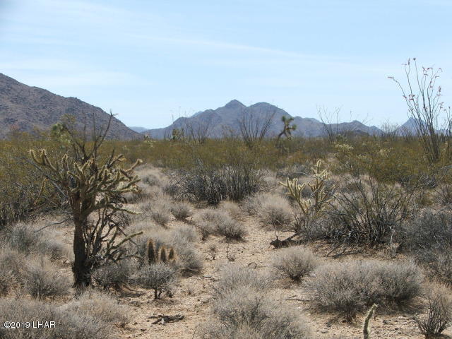 3539 East Cicio Road Yucca, AZ 86438 - Photo 3 of 11 20180606021045863200000000-o