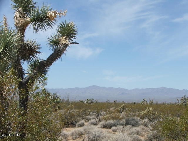 3539 East Cicio Road Yucca, AZ 86438 - Photo 7 of 11 20180606020923183481000000-o