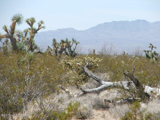 3539 East Cicio Road Yucca, AZ 86438 - Photo 8 of 11 20180606020759414070000000-o