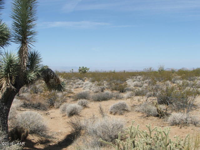 3539 East Cicio Road Yucca, AZ 86438 - Photo 9 of 11 20180606020746120789000000-o