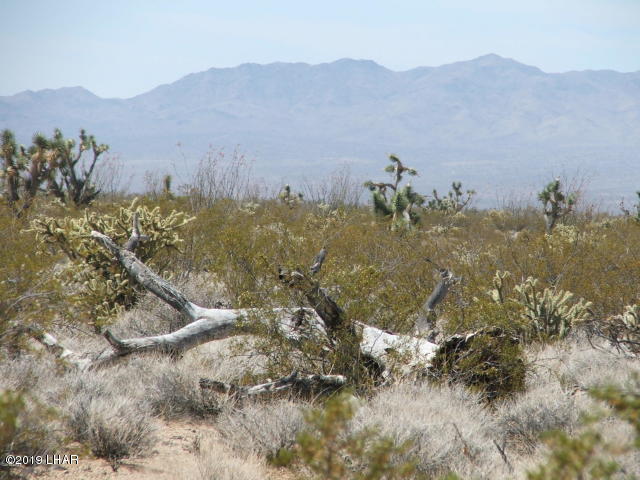 3539 East Cicio Road Yucca, AZ 86438 - Photo 10 of 11 20180606020731902203000000-o