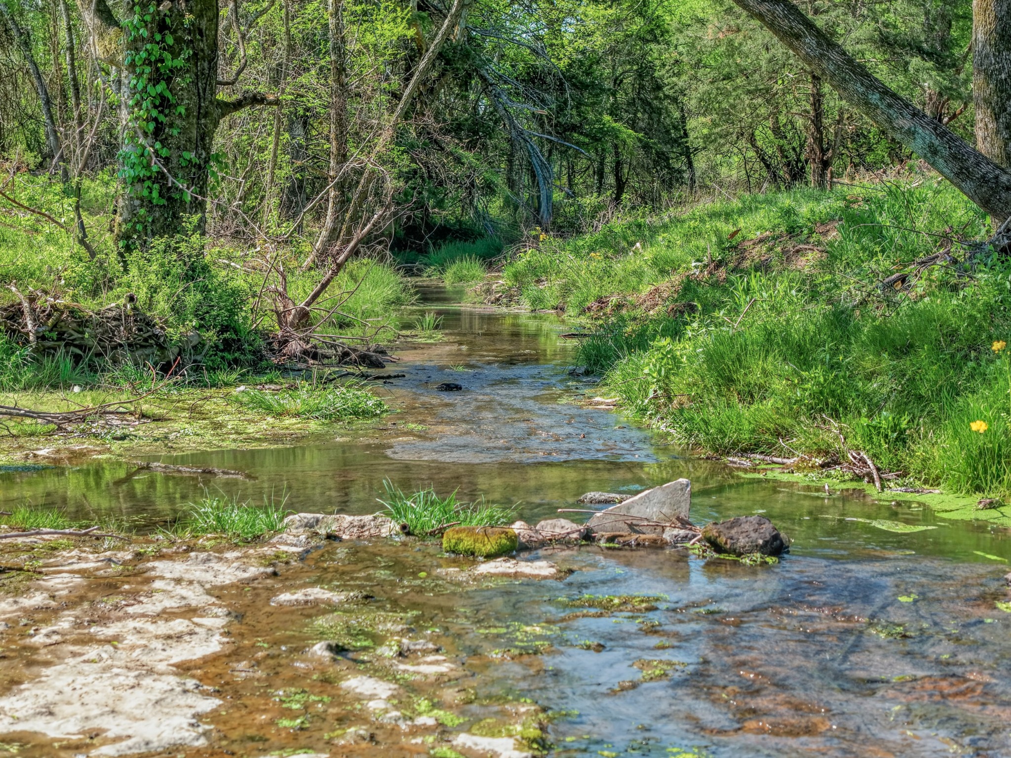 1032 Poplar Hill Road Prospect, TN 38477 - Photo 40 of 49