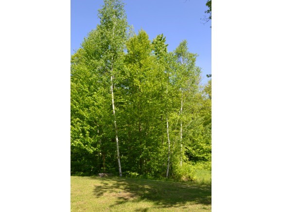 636 Howard Hill Road Andover, VT 05143 - Photo 16 of 26 Gallery Image 16