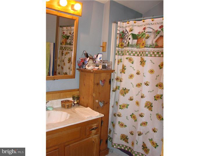 1837 Forest Grove Road New Hope, PA 18938 - Photo 23 of 25 Bathroom