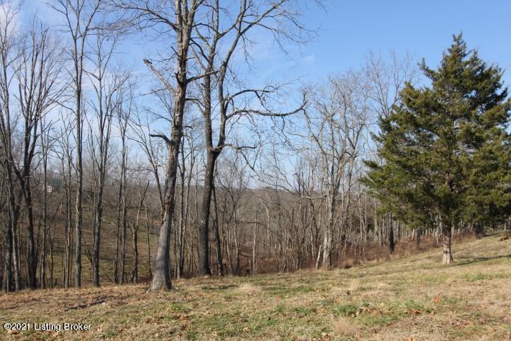 1138 Mays Road Lawrenceburg, KY 40342 - Photo 97 of 97 IMG_0486 (Small)