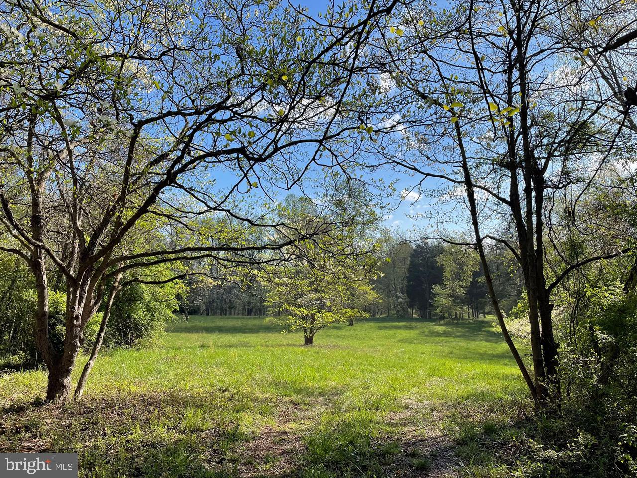 0 Grandview Road Washington, VA 22747 - Photo 1 of 6 a view of yard