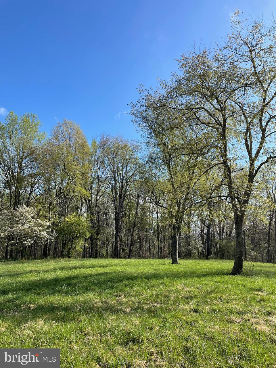 0 Grandview Road Washington, VA 22747 - Photo 5 of 6 a view of grassy field with trees