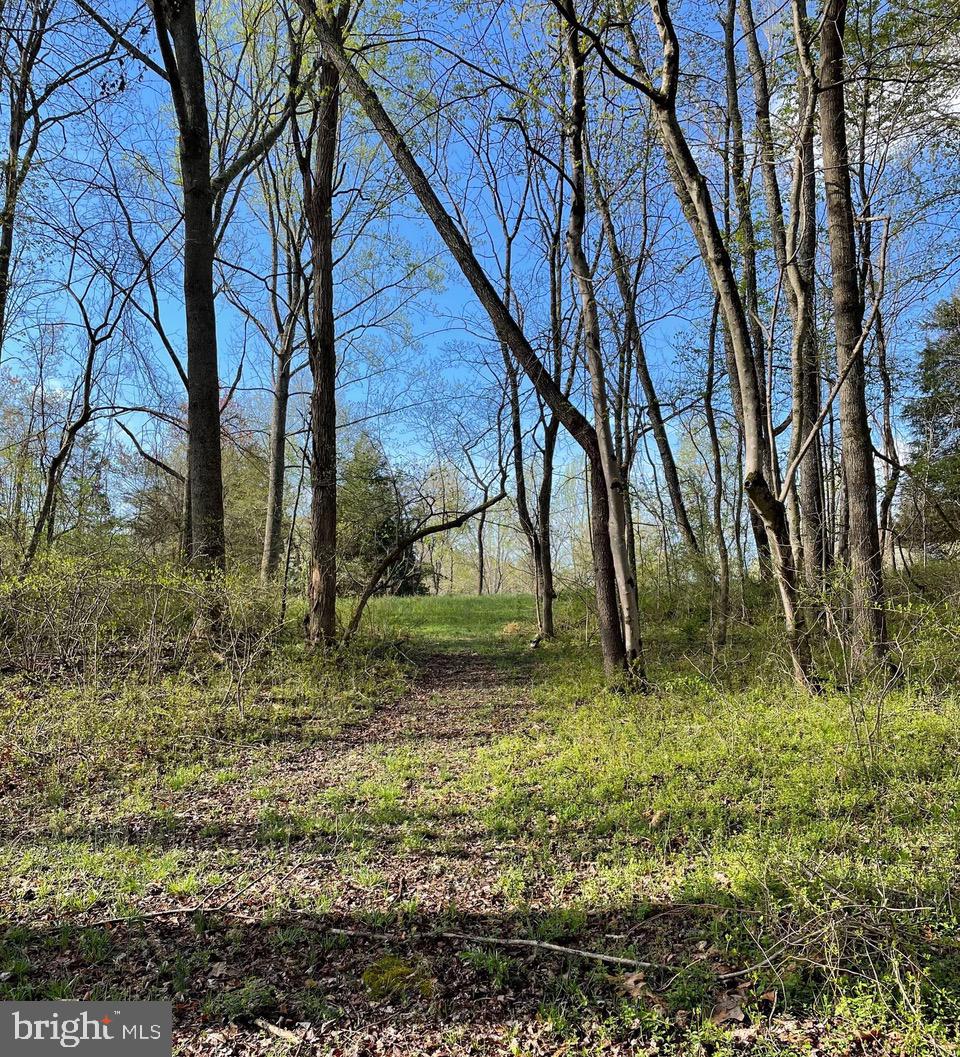 0 Grandview Road Washington, VA 22747 - Photo 6 of 6 a backyard of a house with lots of green space
