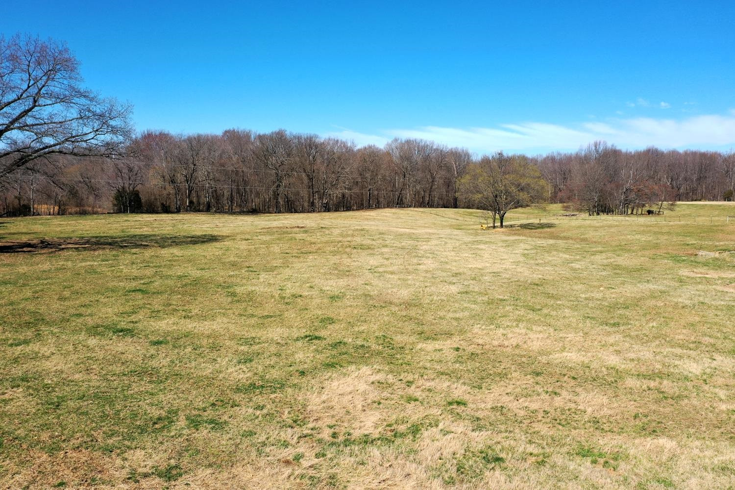 1479 White Clay Road Sharon, TN 38255 - Photo 11 of 15 Photo 11