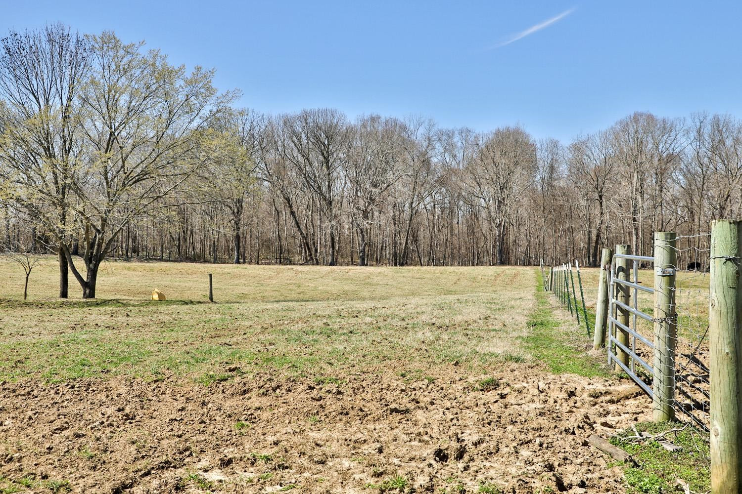1479 White Clay Road Sharon, TN 38255 - Photo 13 of 15 Photo 13