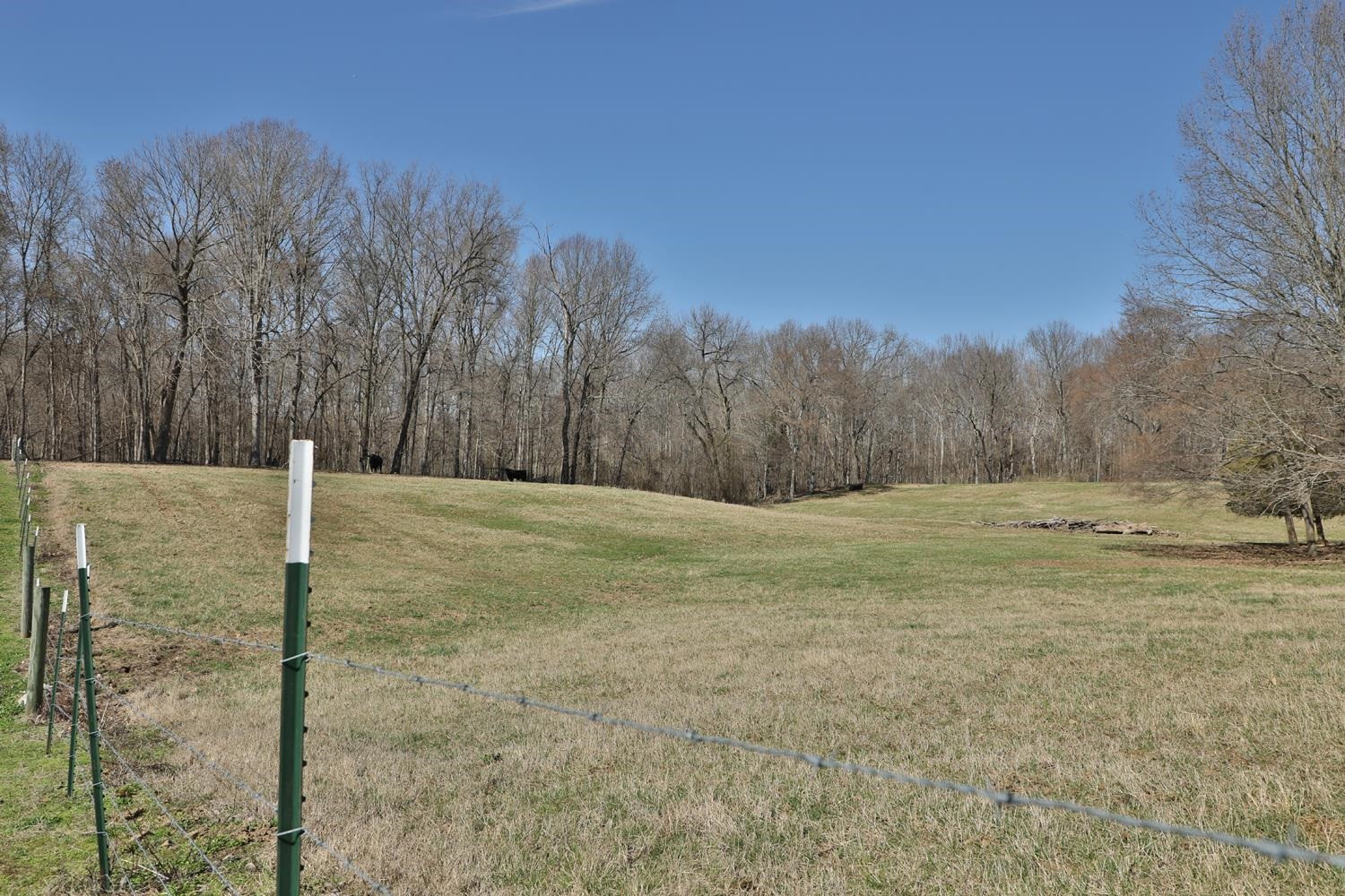 1479 White Clay Road Sharon, TN 38255 - Photo 9 of 15 Photo 9