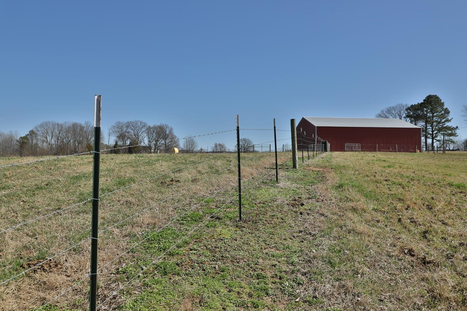 1479 White Clay Road Sharon, TN 38255 - Photo 10 of 15 Photo 10