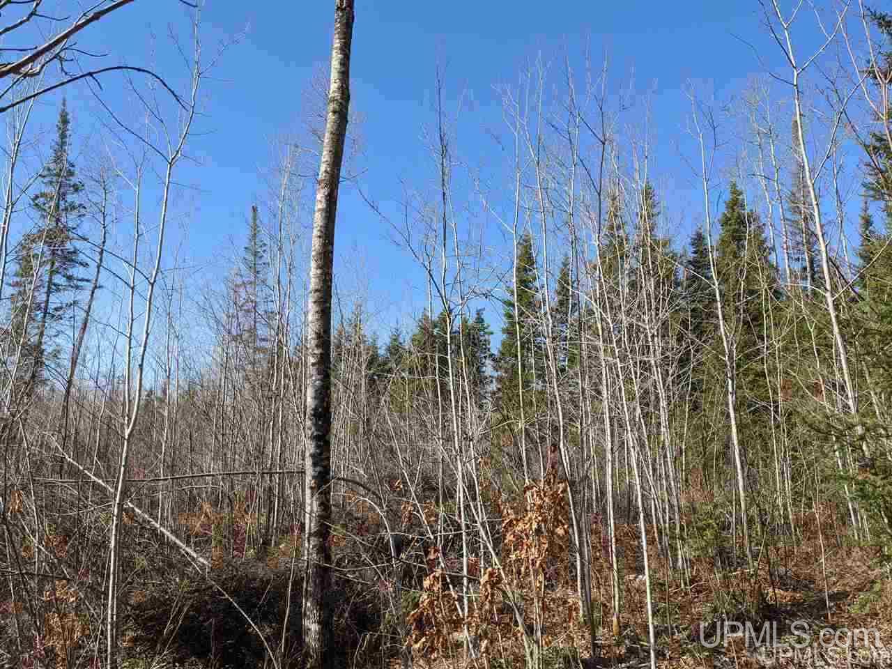 2 Little Bull Road, Unit S1/2NW1/4 Crystal Falls, MI 49920 - Photo 10 of 10