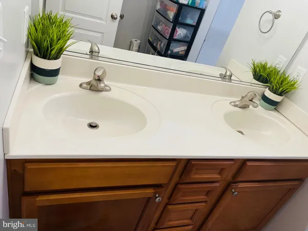 a bathroom with a sink and a potted plant