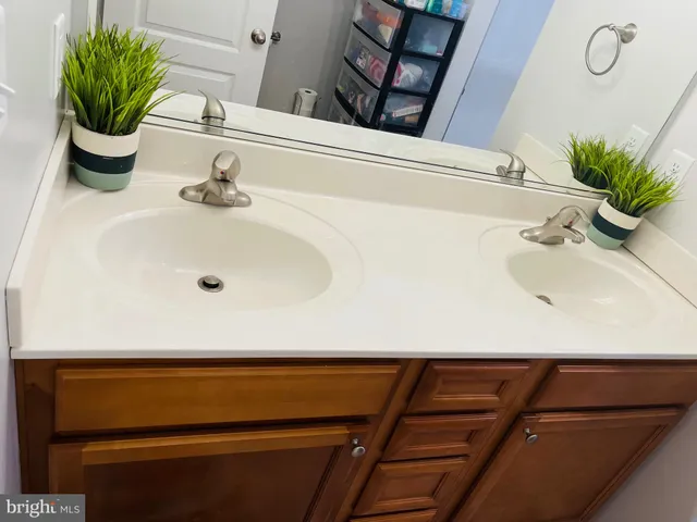 a bathroom with a sink and a potted plant