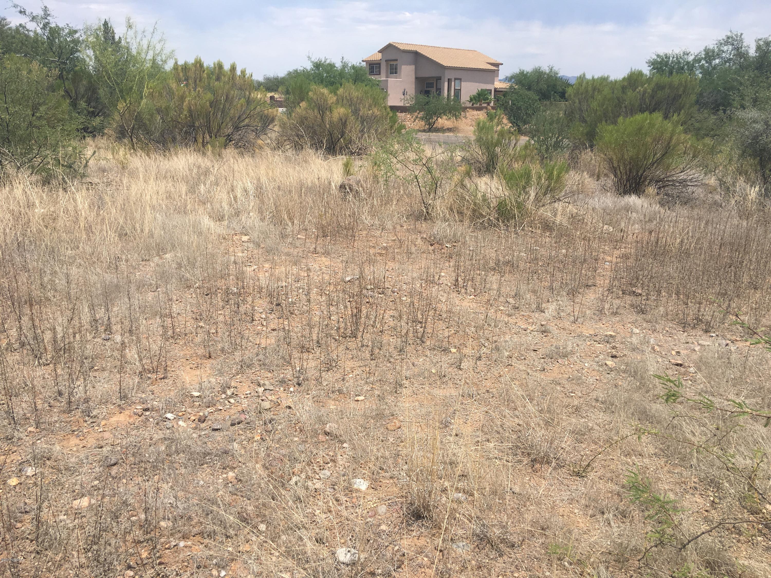 1185 Menta Court Rio Rico, AZ 85648 - Photo 2 of 8 Gallery Image 2