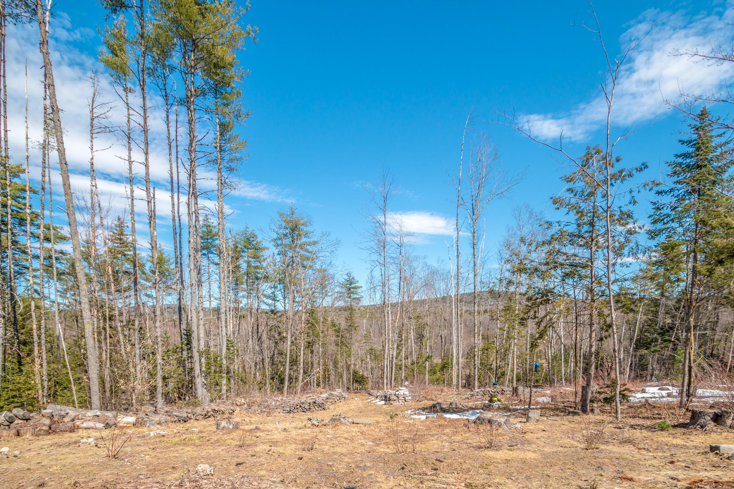 1015 Stow Road Stow, ME 04037 - Photo 2 of 27 _MG_4750