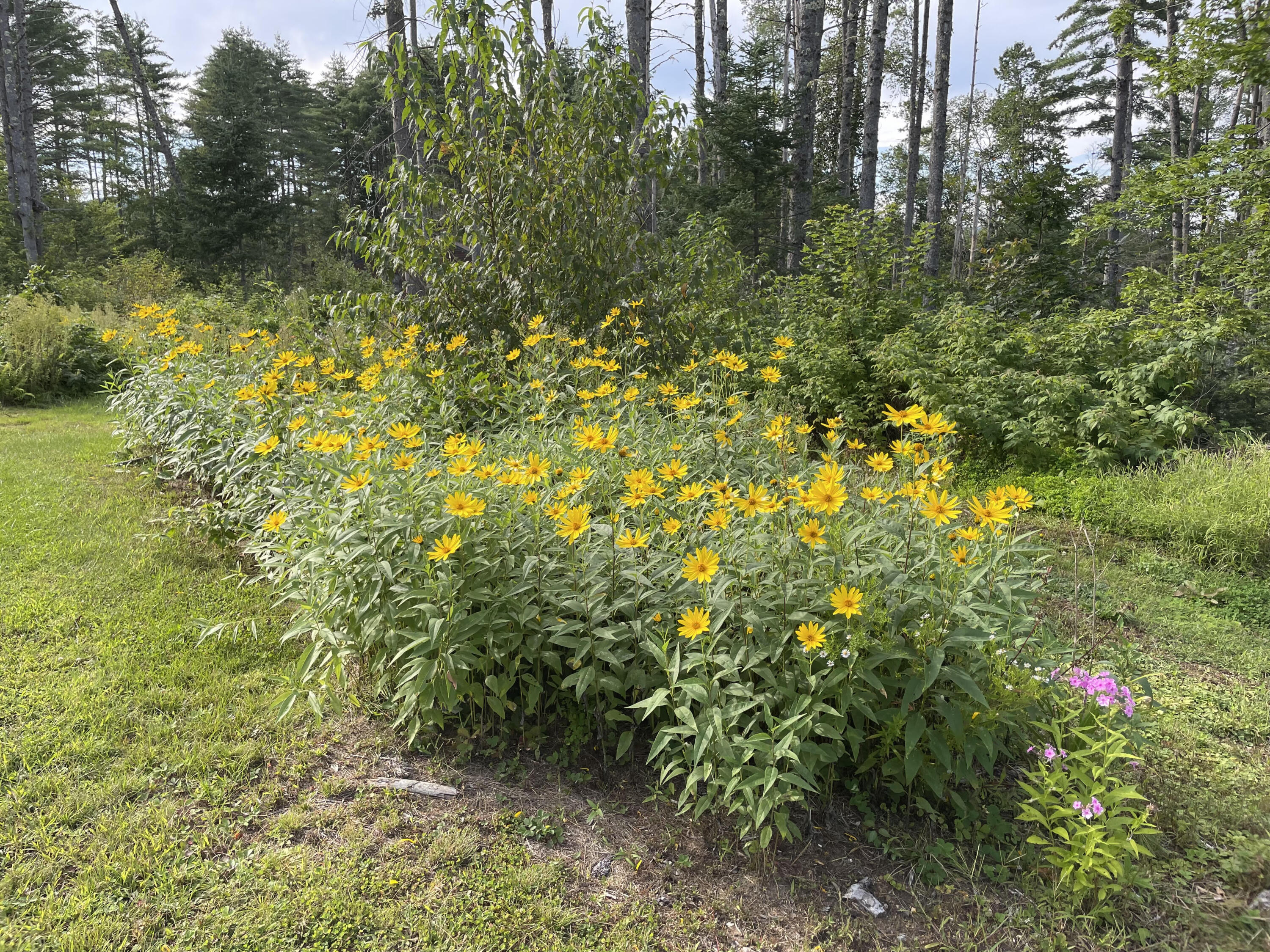 1015 Stow Road Stow, ME 04037 - Photo 26 of 27 1