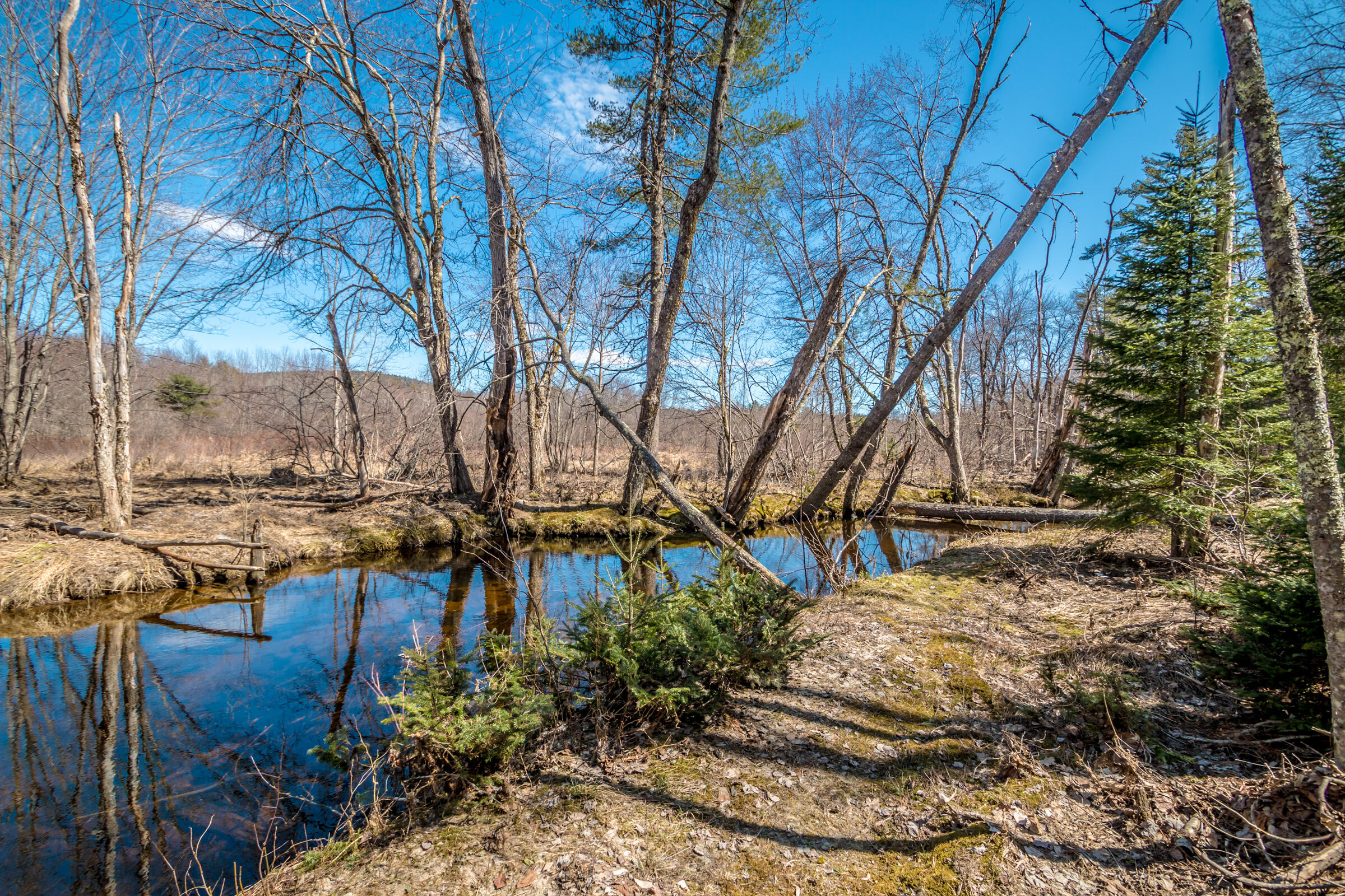 1015 Stow Road Stow, ME 04037 - Photo 3 of 27 _MG_4762