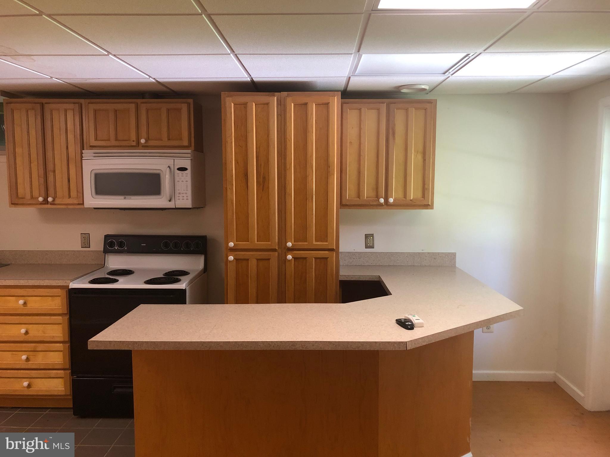 3540 Ridge Road Westminster, MD 21157 - Photo 19 of 30 Basement Kitchen