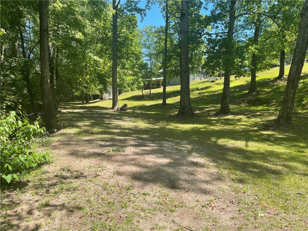 301 Kelly Mill Road Six Mile, SC 29682 - Photo 5 of 37 Gallery Image 5