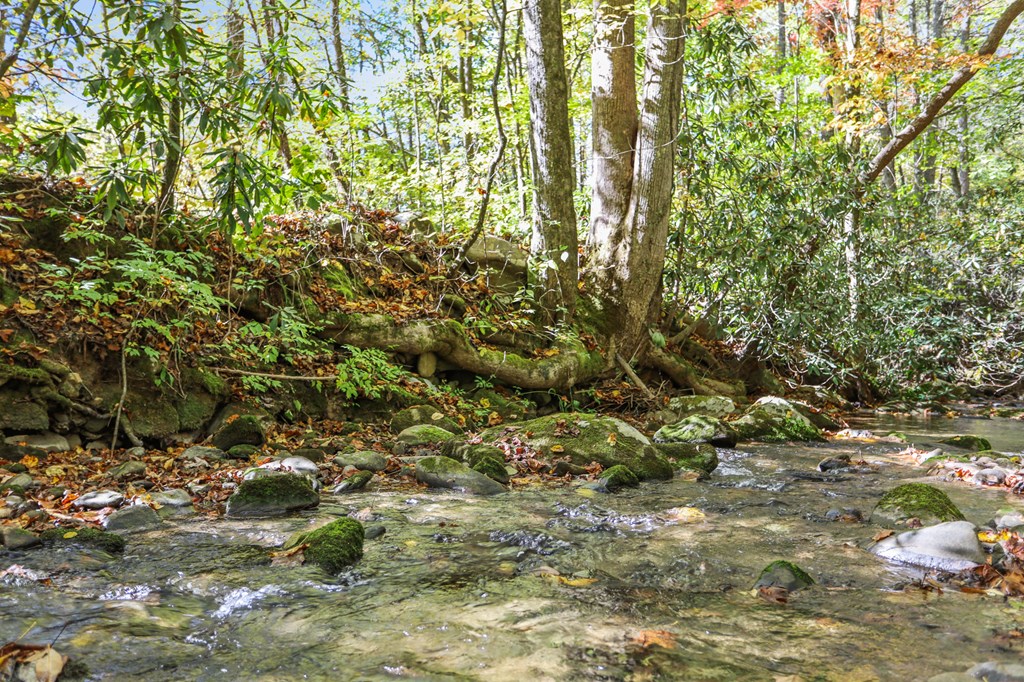 669 Little Rock Creek Road Cherry Log, GA 30522 - Photo 38 of 40 Gallery Image 38