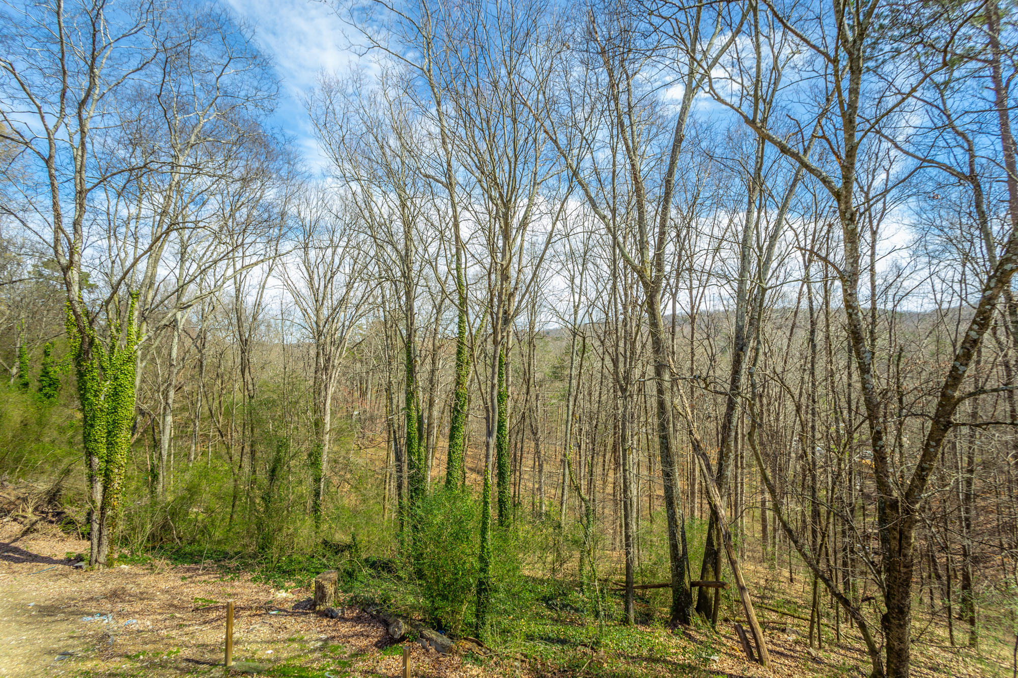 989 Ridgeland Road Rossville, GA 30741 - Photo 41 of 55 989 Ridgeland Rd. HD-36