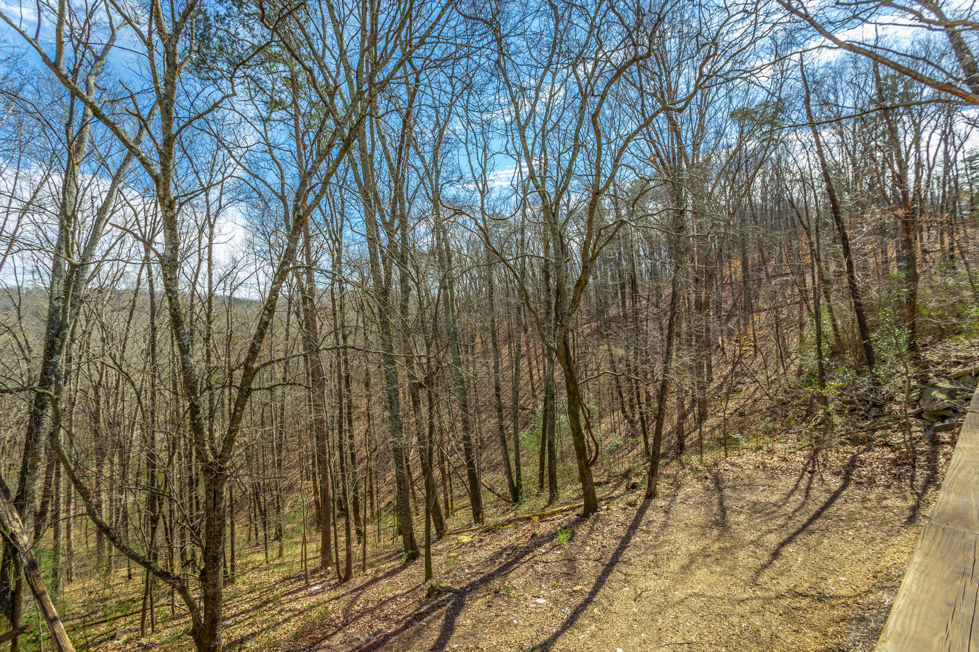 989 Ridgeland Road Rossville, GA 30741 - Photo 44 of 55 989 Ridgeland Rd. HD-39