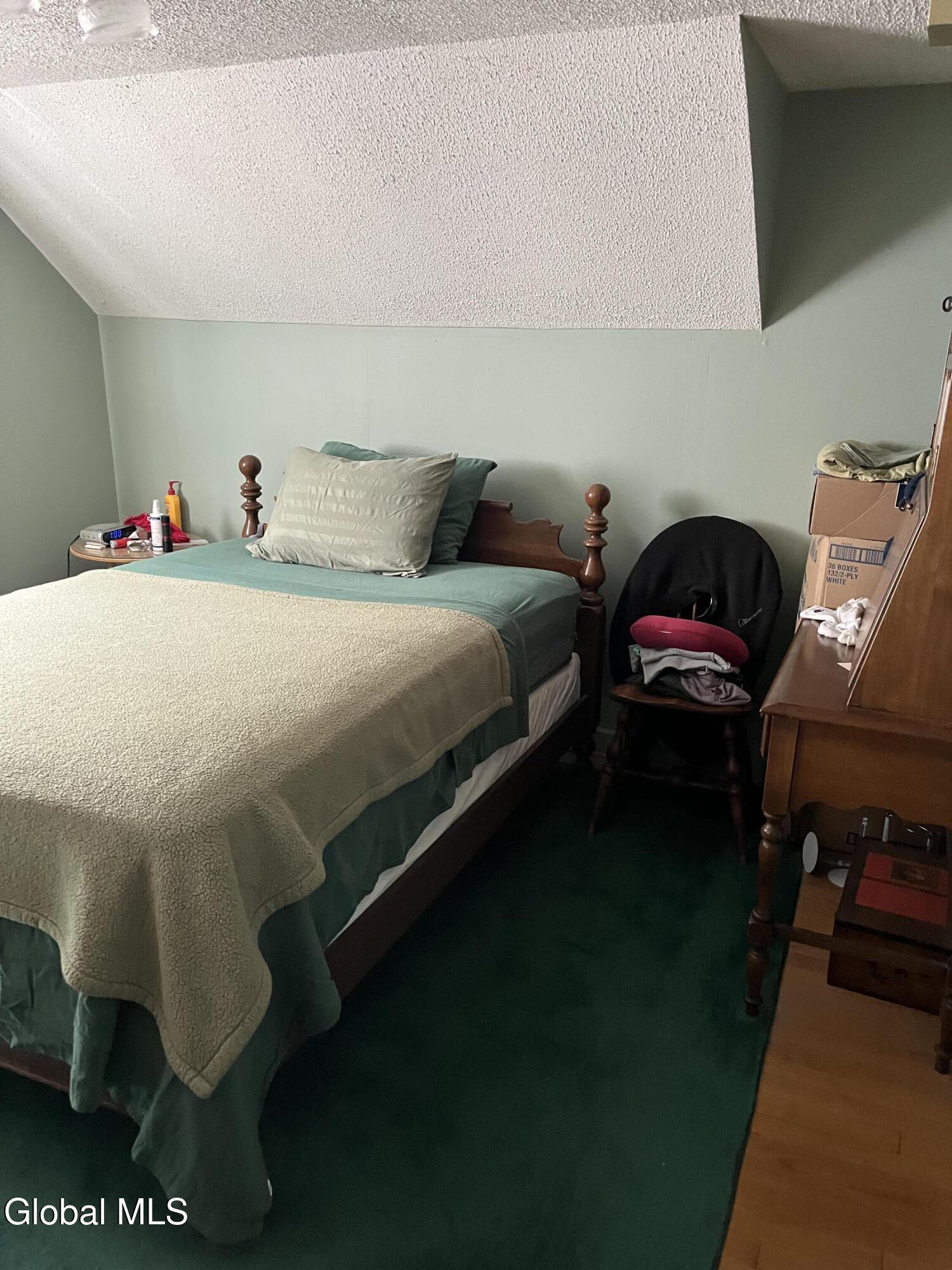 3460 Carman Road Guilderland, NY 12303 - Photo 11 of 20 IMG_4749