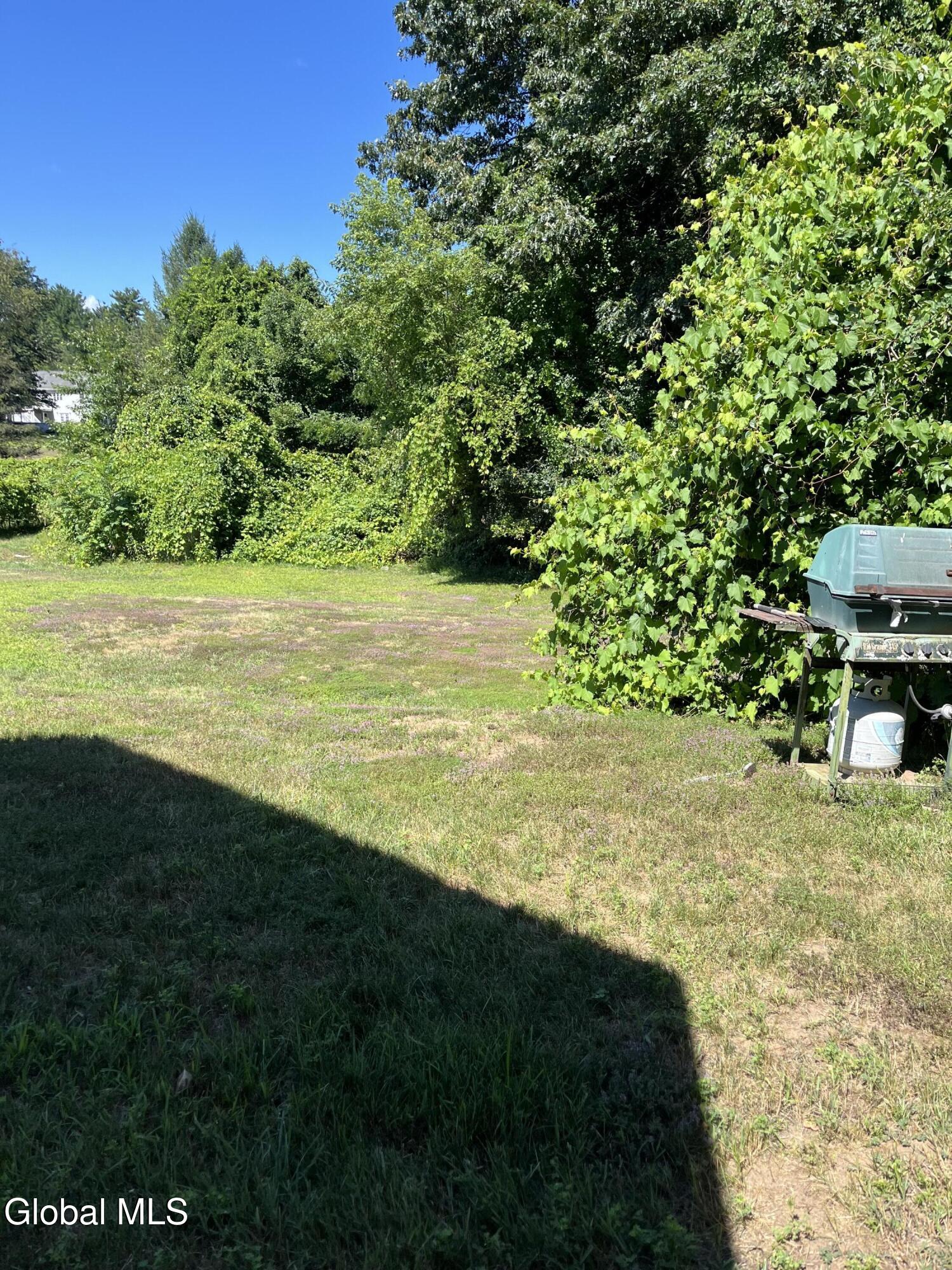 3460 Carman Road Guilderland, NY 12303 - Photo 20 of 20 IMG_4737