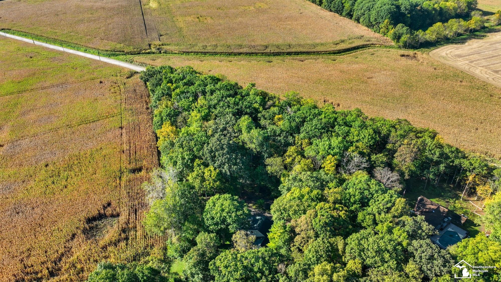 9150 Doty Road Maybee, MI 48159 - Photo 47 of 49
