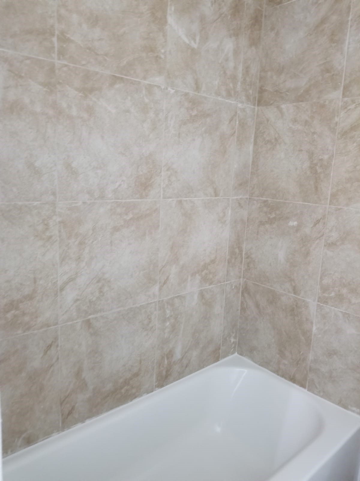 12231 Ormandy Street Houston, TX 77085 - Photo 3 of 8