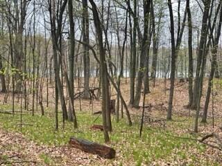 7841 Marsh Road Plainwell, MI 49080 - Photo 26 of 30 18