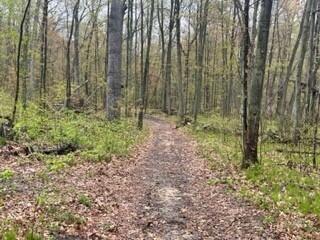 7841 Marsh Road Plainwell, MI 49080 - Photo 28 of 30 20