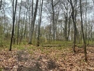 7841 Marsh Road Plainwell, MI 49080 - Photo 29 of 30 21